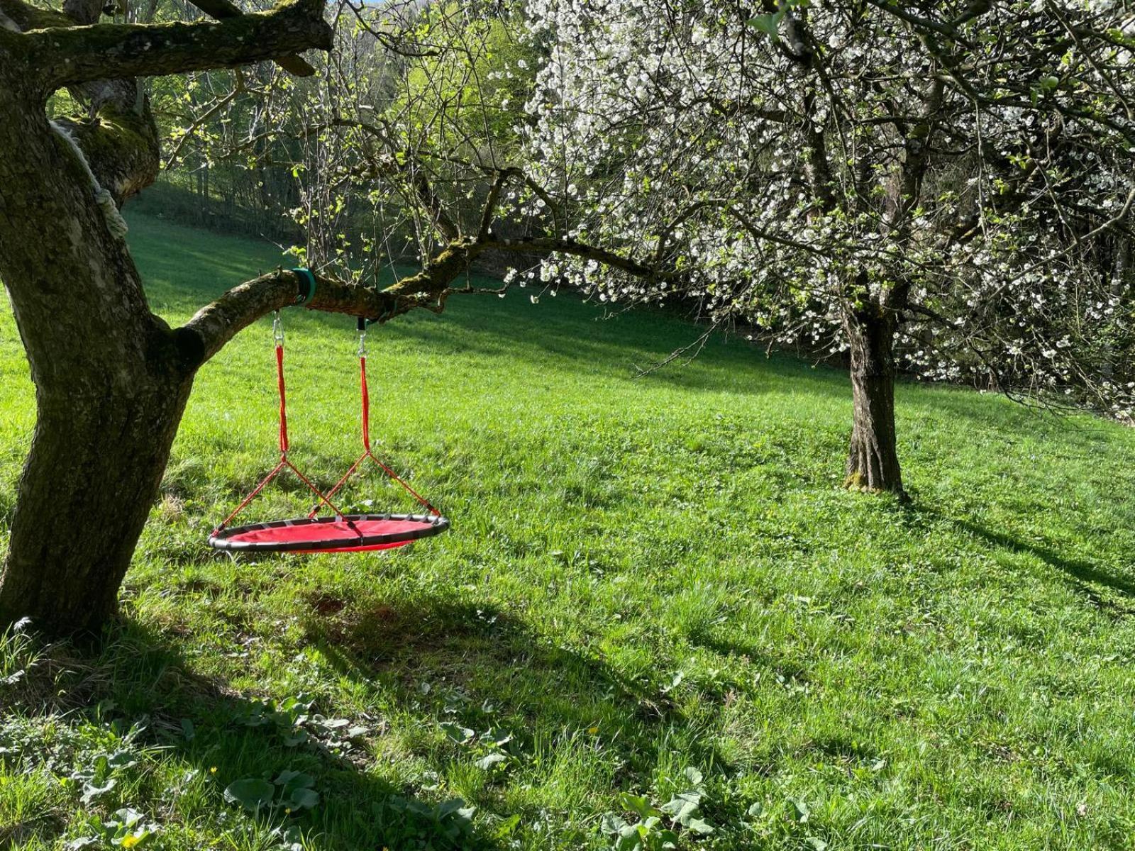 Ferienhaus Holzer Stressless Traisen Exteriör bild